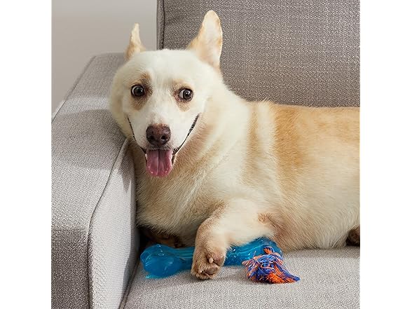 Petstages Orka Bone Royal Blue Treat-Dispensing Dog Chew Toy