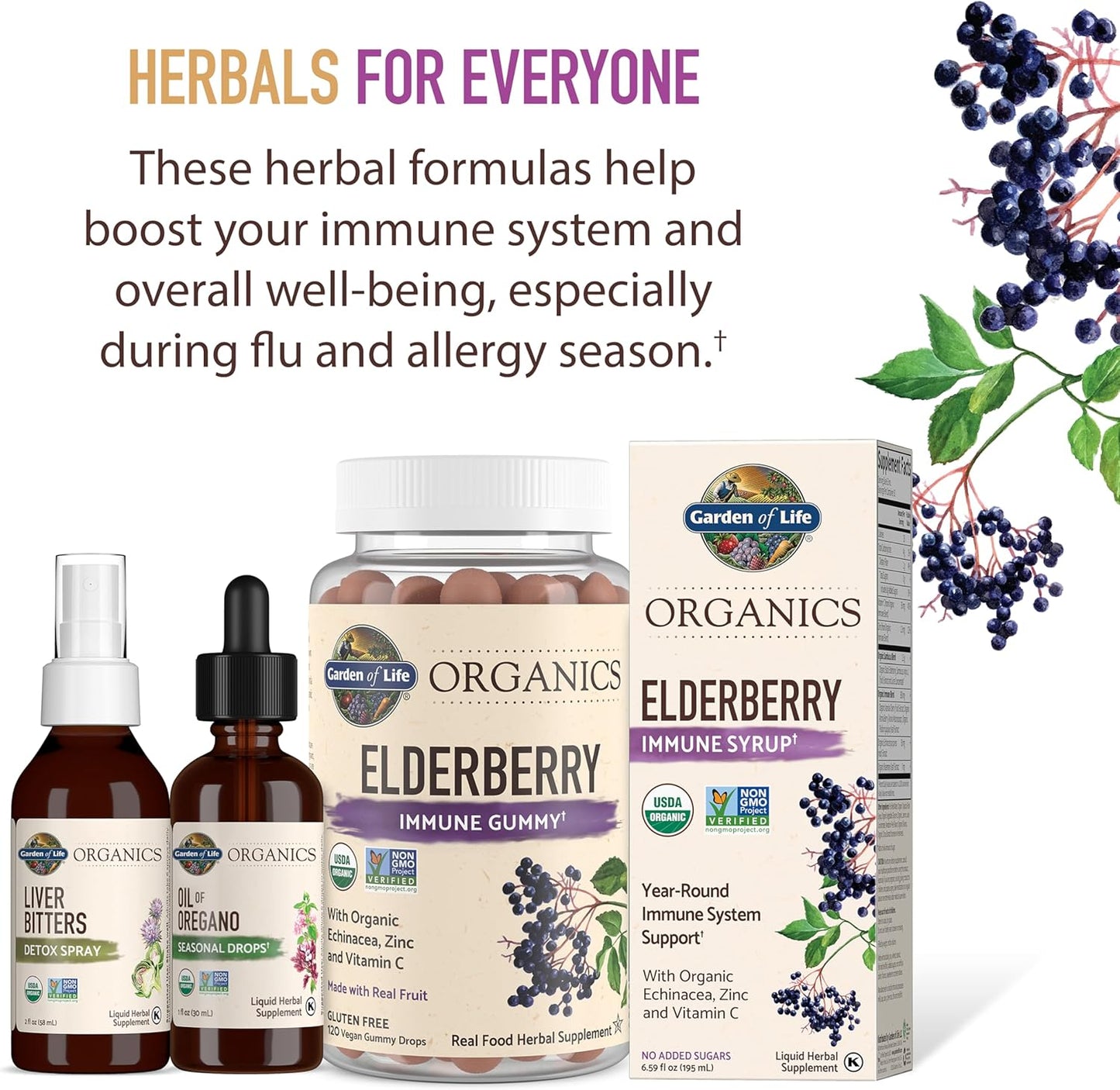Garden of Life Organics Oil of Oregano Seasonal Drops 1fl oz (30 mL) Liquid, Concentrated Plant Based Immune Support - Alcohol-Free, Organic, Non-GMO